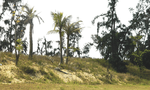 Trường Dục địa linh nhân kiệt