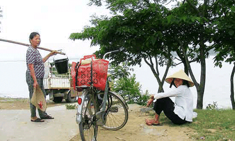 “Xứ đảo” giữa lòng sông 