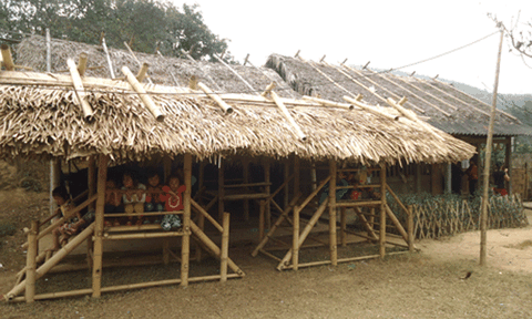 Gian nan lớp học giữa rừng