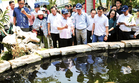 Phát triển du lịch Củ Chi gắn với nông thôn mới