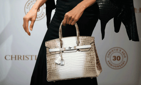 Ngọc Trinh đáp trả gay gắt khi bị Đỗ Mạnh Cường tố dùng túi Hermes giả