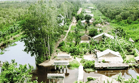 Lung Ngọc Hoàng - báu vật vùng Tây sông Hậu