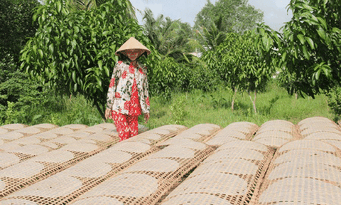 Vĩnh Long đẩy mạnh phát triển kinh tế tập thể