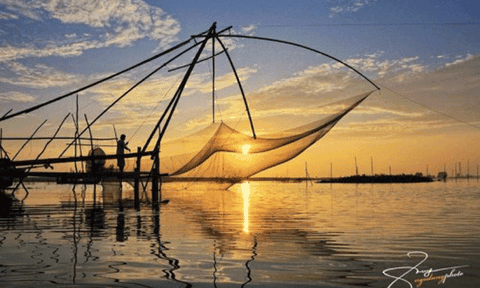 Cất vó trên sông mùa nước đục