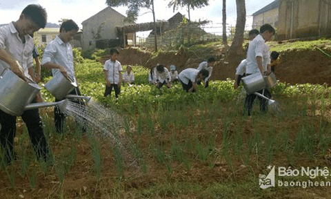 Thầy cô giáo nuôi lợn, trồng rau giúp bữa ăn cho học sinh