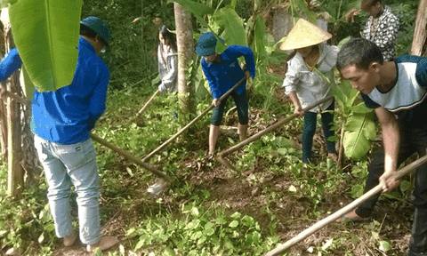 Tuổi trẻ Thanh Thủy phát huy vai trò xung kích, sáng tạo