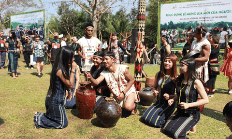 Say đắm với điệu dân ca của dân tộc K'ho S'rê trong Lễ Mừng lúa mới