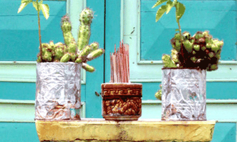 Tìm hiểu tục thờ Thông Thiên của người dân Nam Bộ