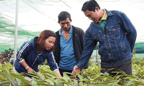 Khởi nghiệp thành công từ chữ tín