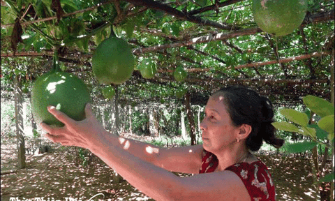 Trao “cần câu” thay vì trao “cá”