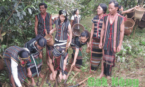 Ý thức bảo vệ môi trường của đồng bào M’nông