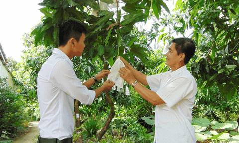 Cú hích nông nghiệp công nghệ cao ở Đồng Tháp