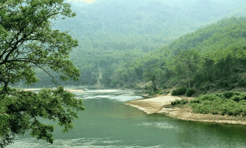 Sông Mã huyền thoại mang tên gọi từ một loài cây rừng