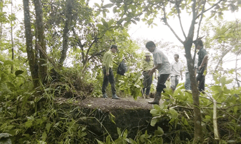 Khám phá miền sông Mã: Vén màn bí mật quanh huyền tích cây chu đồng