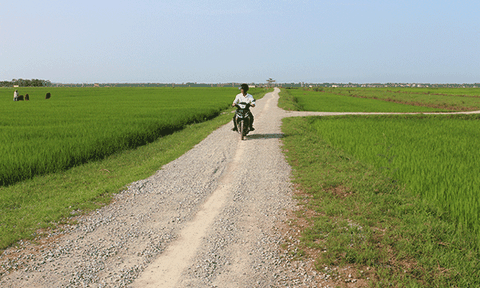 Khi hợp tác xã tiếp sức nông thôn mới