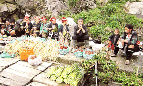 Nhọc nhằn nghề hái măng rừng