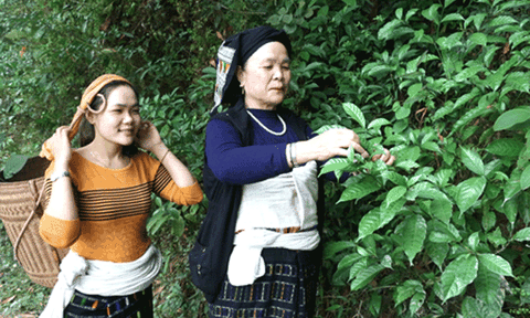 Gieo mầm khởi nghiệp từ giảng đường