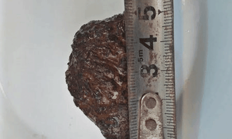 Phát hiện “dương bảo” quý hiếm, nhiều người trả giá cao không bán