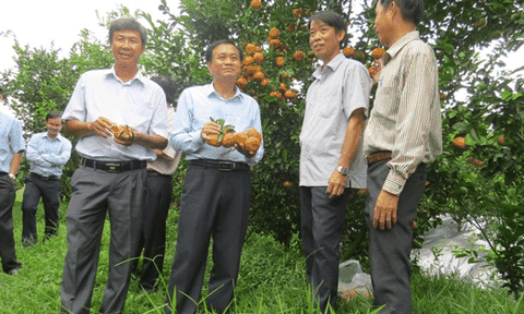 “Phát triển du lịch sinh thái gắn với làng nghề”