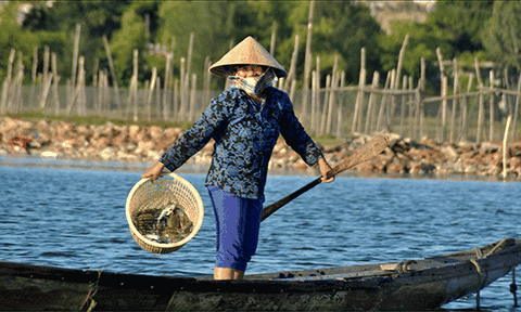 Du lịch gắn bảo vệ thiên nhiên