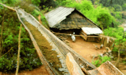 8 người nghi ngộ độc thuốc trừ sâu sau khi dùng nước khe suối