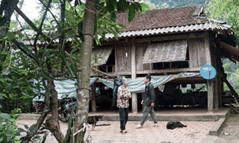 Bàng hoàng nữ sinh lớp 7 sinh con