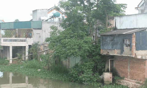 Nghệ An: Sông Vũ Giang ô nhiễm nghiêm trọng