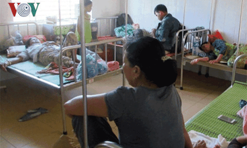 Hàng chục người bị ngộ độc sau khi ăn bánh tét