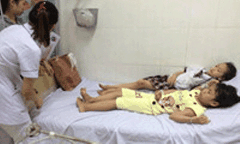 Thêm 37 học sinh ở Nghệ An ngộ độc do ăn quả ngô đồng ​