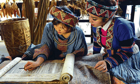 Cây lanh - biểu tượng văn hoá người Mông