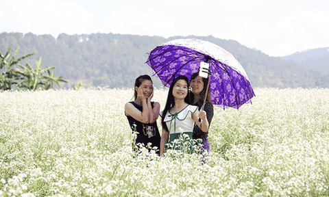 Làm du lịch hoa kiểu nhà vườn Đà Lạt