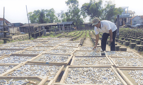 Nhọc nhằn mưu sinh nghề hấp cá