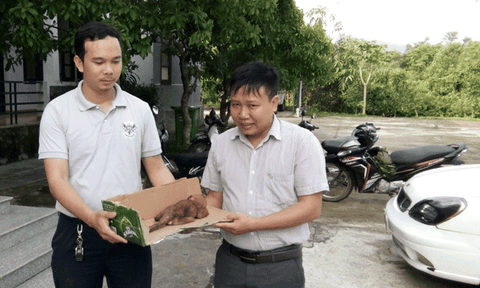 Quảng Bình: Phóng viên Tạp chí Thanh Tra Chính phủ bàn giao động vật quý hiếm