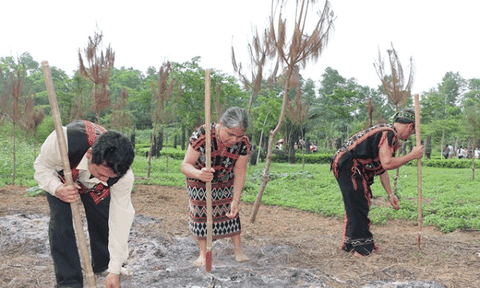 Tháng tư, người Pa cô mở hội đánh thức hạt giống 