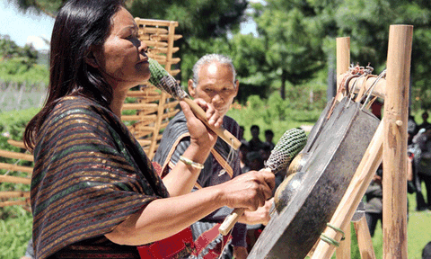 Hồi sinh vũ điệu đại ngàn