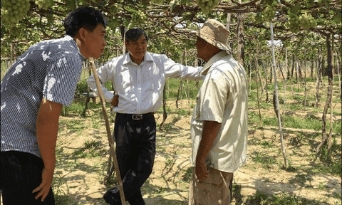 Cách ông Ba Mọi làm truyền thông