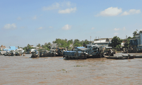 Huyện Cái Bè: Triển khai Đề án bảo tồn và phát huy chợ nổi Cái Bè