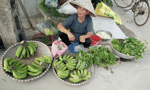 Cảm thương những phận già cơ cực mưu sinh