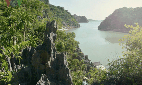 Khám phá VQG Bái Tử Long - Vườn Di sản độc đáo bậc nhất Đông Nam Á