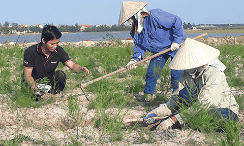 "Tiến sĩ nông dân" và giấc mơ nông nghiệp sạch