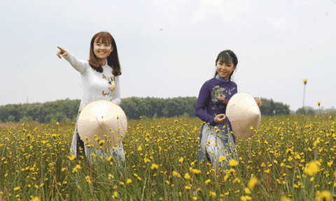 Nhiều sản phẩm du lịch tại Vườn Quốc gia Tràm Chim