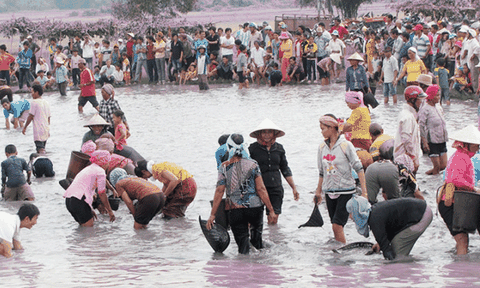Nét đẹp Lễ hội xuống đồng bắt cá của đồng bào dân tộc Khmer