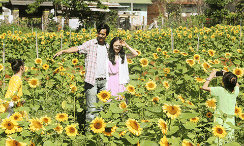 Cần tạo bước đột phá phát triển du lịch canh nông chuyên nghiệp