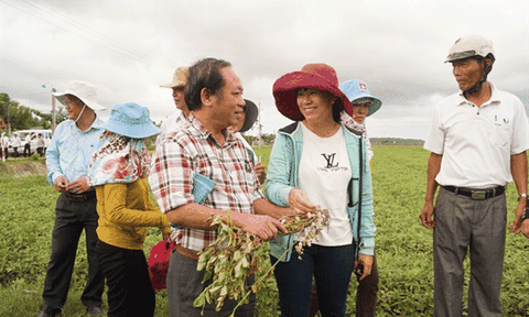 Chuyển lúa sang rau màu tạo đột phá