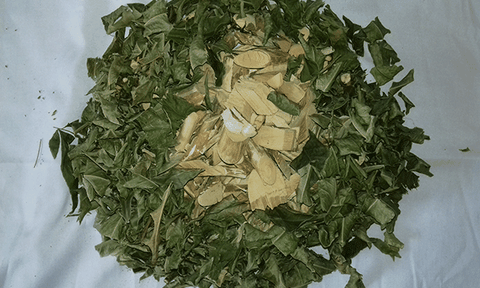 Người Mường chữa bệnh bằng cây cỏ