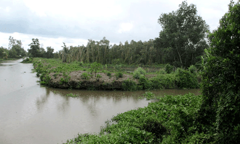 Khám phá Lung Ngọc Hoàng - "Báu vật" của vùng Tây sông Hậu