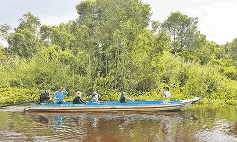 Khai thác tiềm năng, thế mạnh vùng U Minh Thượng