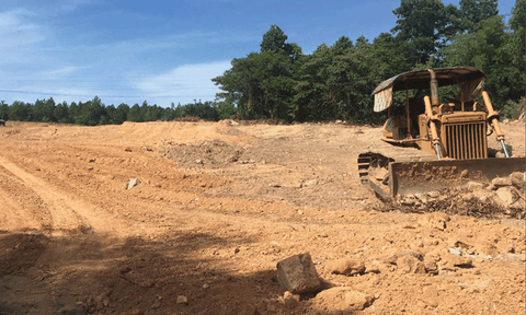 Trong các hồ sơ di tích, vua Tự Đức không có hậu phi nào tên Mỹ Phi