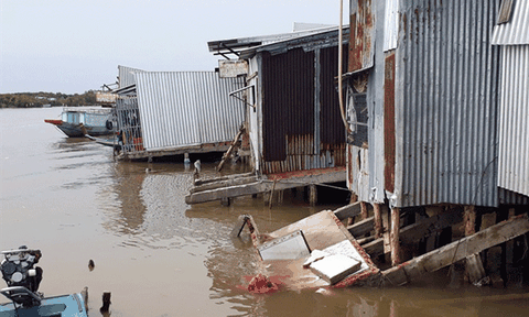 Cà Mau: Hơn 37 km đường bờ sông nguy cơ sạt lở cao