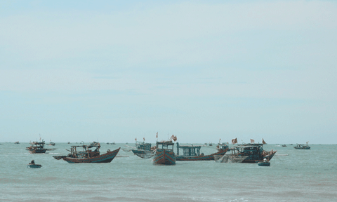 Thanh Hóa: Ngư dân xã Hải Hà được mùa moi